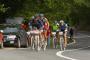 Istra MTB Tartufi Tour - Parenzana Cannondale