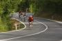 Istra MTB Tartufi Tour - Parenzana Cannondale