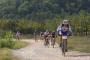 Istra MTB Tartufi Tour - Parenzana Cannondale - Aufstieg Richtung Motovun