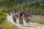 Istra MTB Tartufi Tour - Parenzana Cannondale - Aufstieg Richtung Motovun