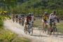 Istra MTB Tartufi Tour - Parenzana Cannondale - Aufstieg Richtung Motovun