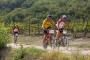 Istra MTB Tartufi Tour - Parenzana Cannondale - Aufstieg Richtung Motovun