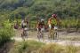 Istra MTB Tartufi Tour - Parenzana Cannondale - Aufstieg Richtung Motovun