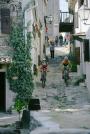 Hum
