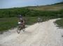 Istria Terra Magica Bike