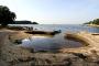 Rovinj - Lone bay