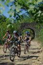 Rail Parenzana