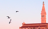 sl_022706114614.jpg