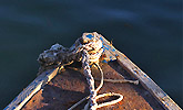sl_022706114844.jpg