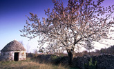 sl_031506100436.jpg