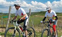 Istra Bike: Umag/Novigrad, MTB Radwegen